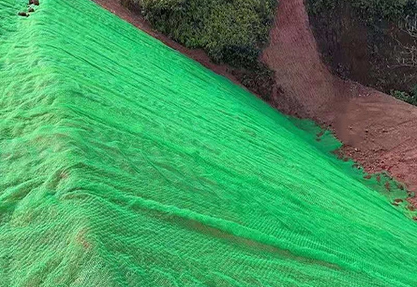 三維植被網(wǎng)案例